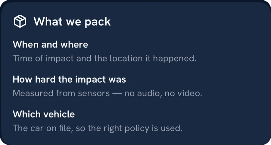 What we pack: when and where, the time of impact and location; how hard the impact was, measured from sensors with no audio or video; which vehicle, the car on file